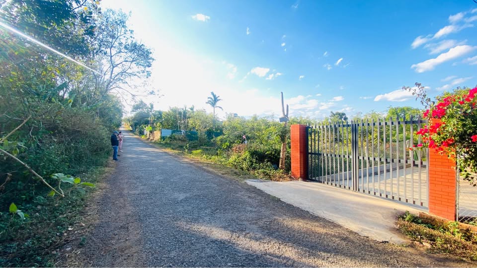 Bán nhà riêng thành phố Buôn Ma Thuột, tỉnh Đắk Lắk, giá 250 triệu