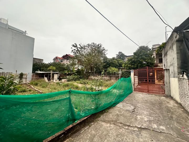 Bán đất trung tâm Thuận An, Gia Lâm, Hà Nội 40m², mặt tiền 5,5m, ô tô gần