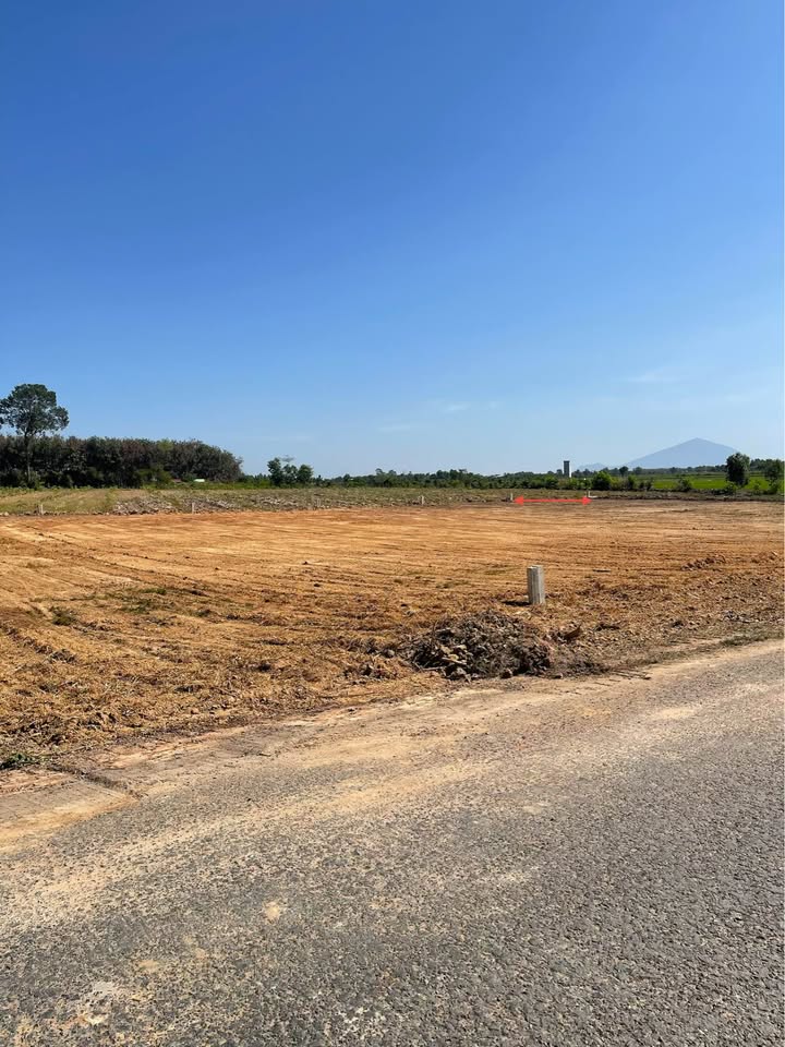 Bán miếng đất sau lưng trường tiểu học Nguyễn Đình Chiểu, thuộc ấp Trường, xã Hảo Đước, Tây Ninh