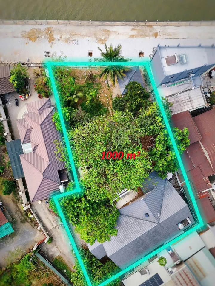 Bán biệt thự mặt tiền sông đã làm kè tại Hiệp Hoà, Biên Hòa, thích hợp cho các đại gia làm khu nghỉ dưỡng