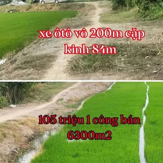 Bán 6300m2 đất ruộng cập kinh nhà nước giáp Kinh 84m tại Mỹ Chánh, Châu Thành, Trà Vinh