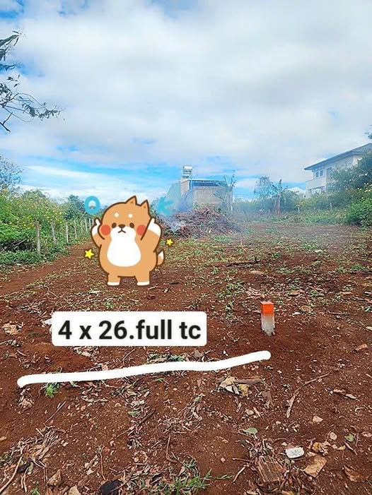 Bán đất hẻm 196 Lê Thánh Tôn, Nguyễn Văn Linh, Gia Lai, diện tích 4x26m, hướng Nam