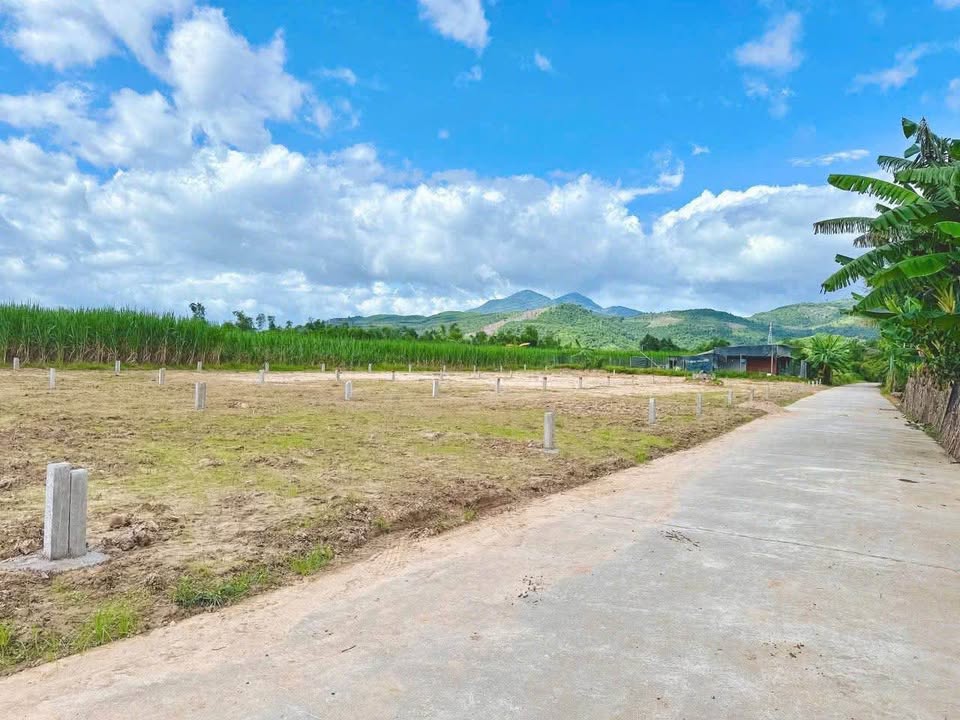 Bán đất huyện Diên Khánh, tỉnh Khánh Hòa, giá 450 triệu