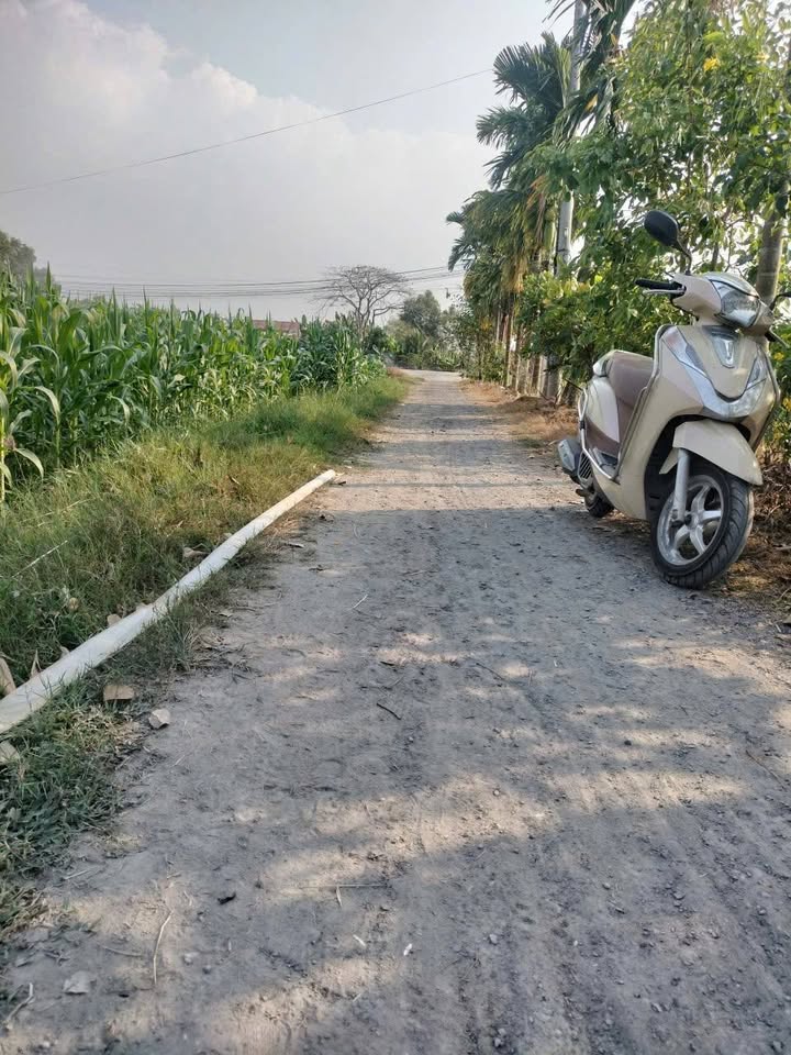 Đất vàng Long An 6 nền F0 giá rẻ bất ngờ chỉ 800 triệu, cơ hội đầu tư không thể bỏ lỡ