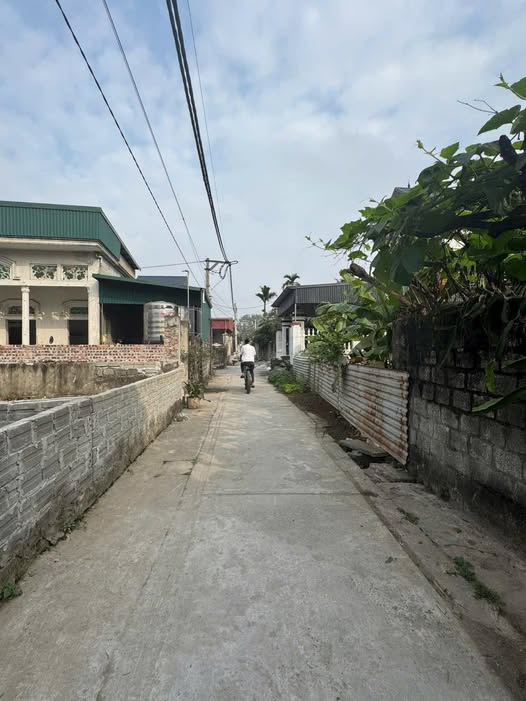 Đất Trung Lập Tri 106m2 sát Cienco5, giá nhỉnh 40 triệu/m2, tiềm năng x3