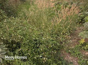 Bán đất huyện Dầu Tiếng, tỉnh Bình Dương giá 1,5 tỷ