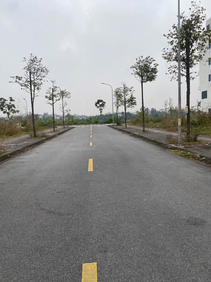 Bán nhanh lô đất siêu đẹp tại dãy dự án Him Lam, Thụ Ninh, phường Kinh Bắc, thành phố Bắc Ninh