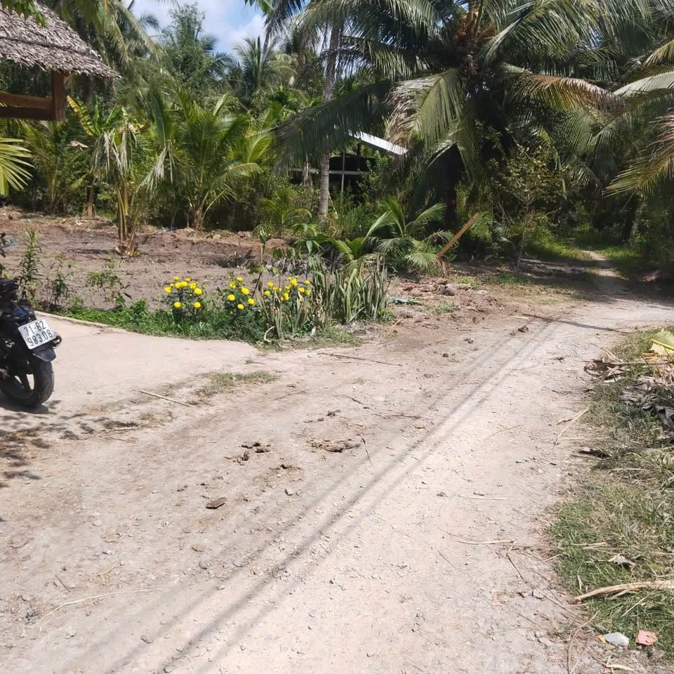 Bán đất huyện Giồng Trôm, tỉnh Bến Tre, giá 600 triệu