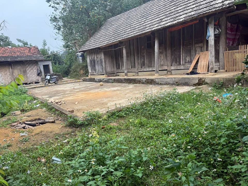 Bán nhà vườn cổ thụ tại Trì Quang, Lào Cai, bầu không khí trong lành