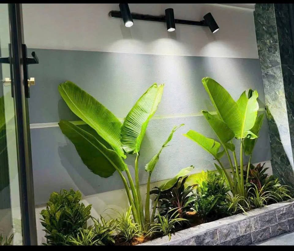 Bán nhà 3 tầng Đinh Bộ Lĩnh, Nam Định, 64m2, giá 2.59 tỷ