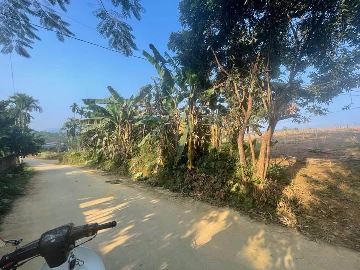 Bán đất mặt tiền rộng 10m, nở hậu tại Tân Lạc, Hòa Bình