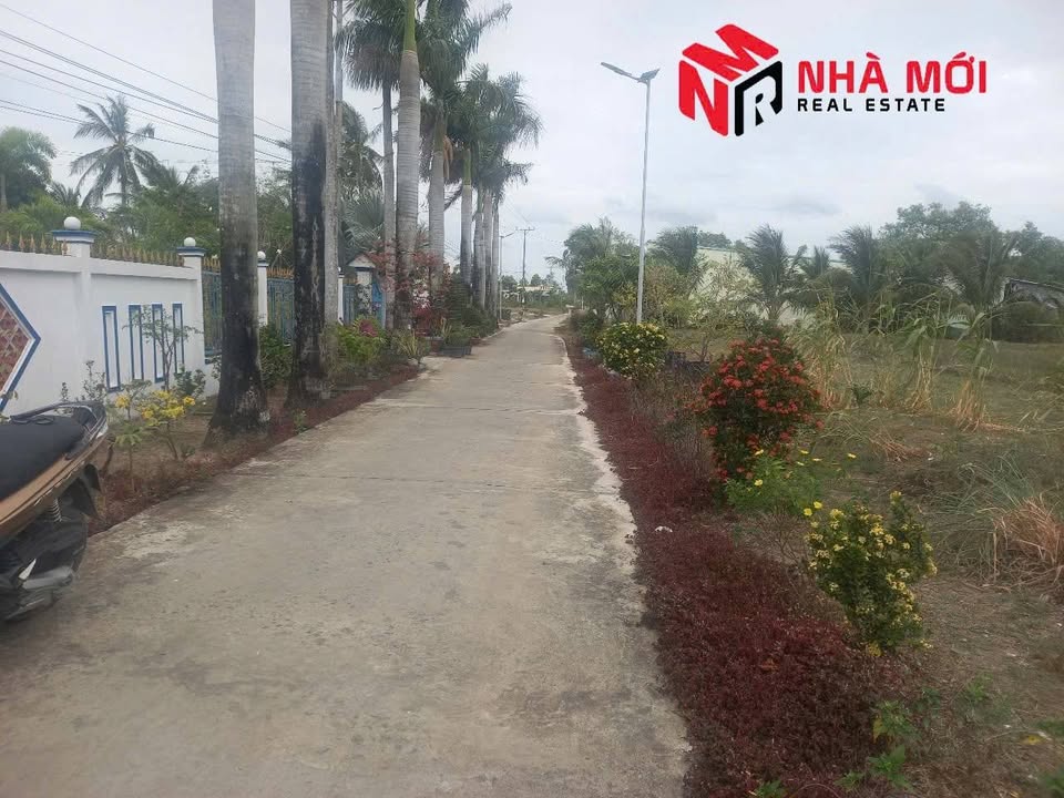 Bán đất Đầm Dơi, lộ 3m xe hơi vào tận nơi, giá 230 triệu