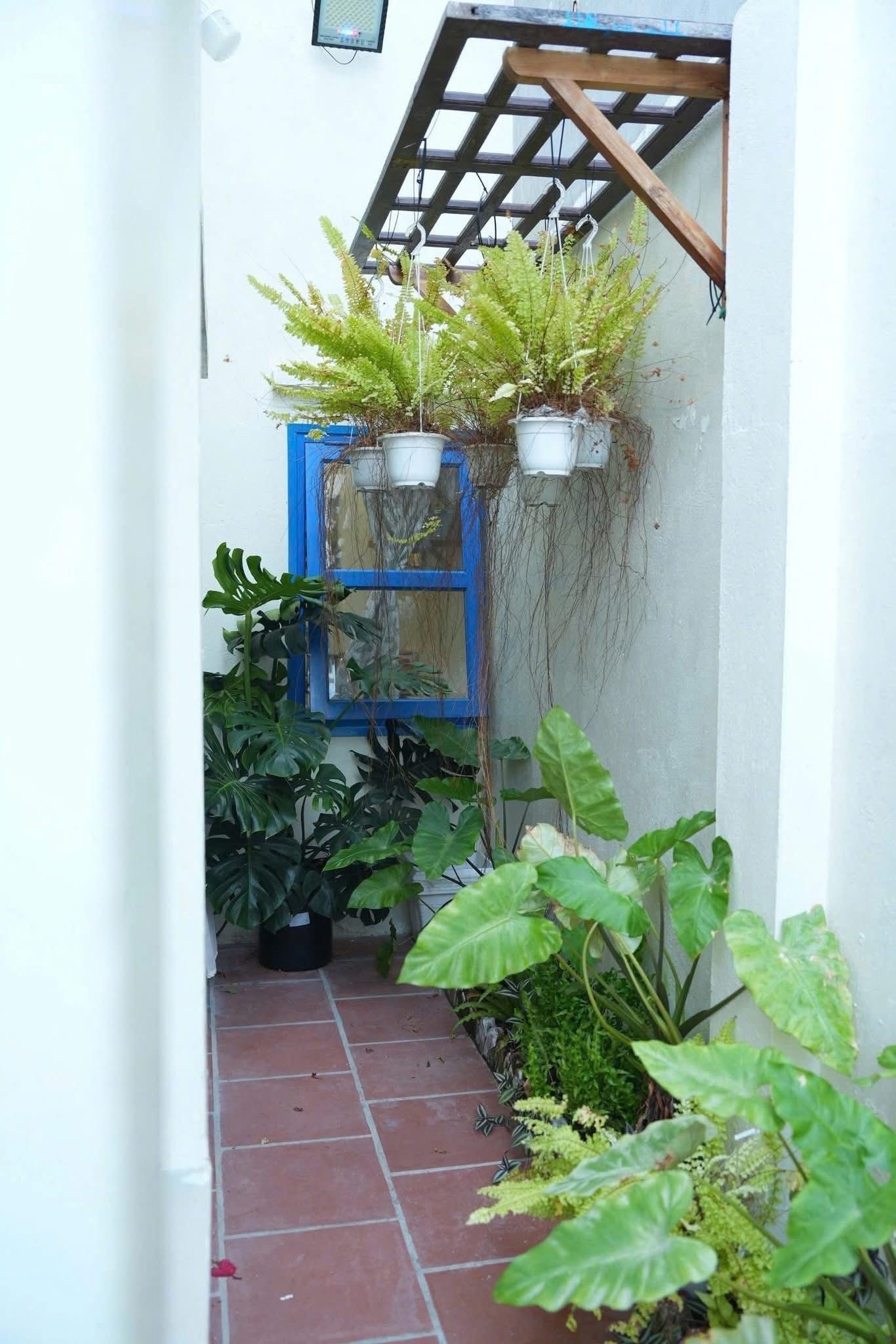 Bán homestay biển trung tâm Phan Thiết, kinh doanh tốt