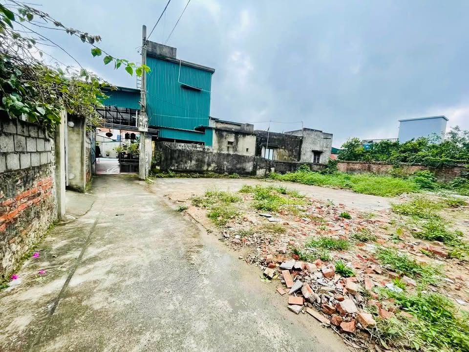 Bán đất Tiền Hải, 101m2, mặt tiền rộng, ô tô đậu tới đất, giá chỉ hơn 600 triệu