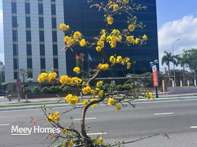 Bán nhà mặt tiền đường Nại Tú 1, thuộc khu vực Sơn Trà, khu dân cư đông đúc, thuận tiện kinh doanh