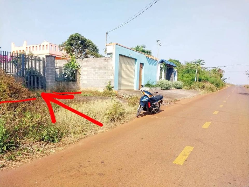 Bán đất nhà vườn siêu rộng mặt tiền đường 93, Long Phước, thành phố Bà Rịa cũ