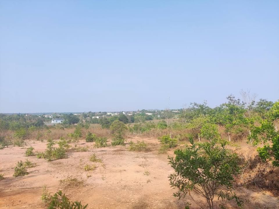 Bán 3.7 sào đất tại phường Buôn Ma Thuột, thôn 8 Cư Bur, giá chỉ 230 triệu/sào