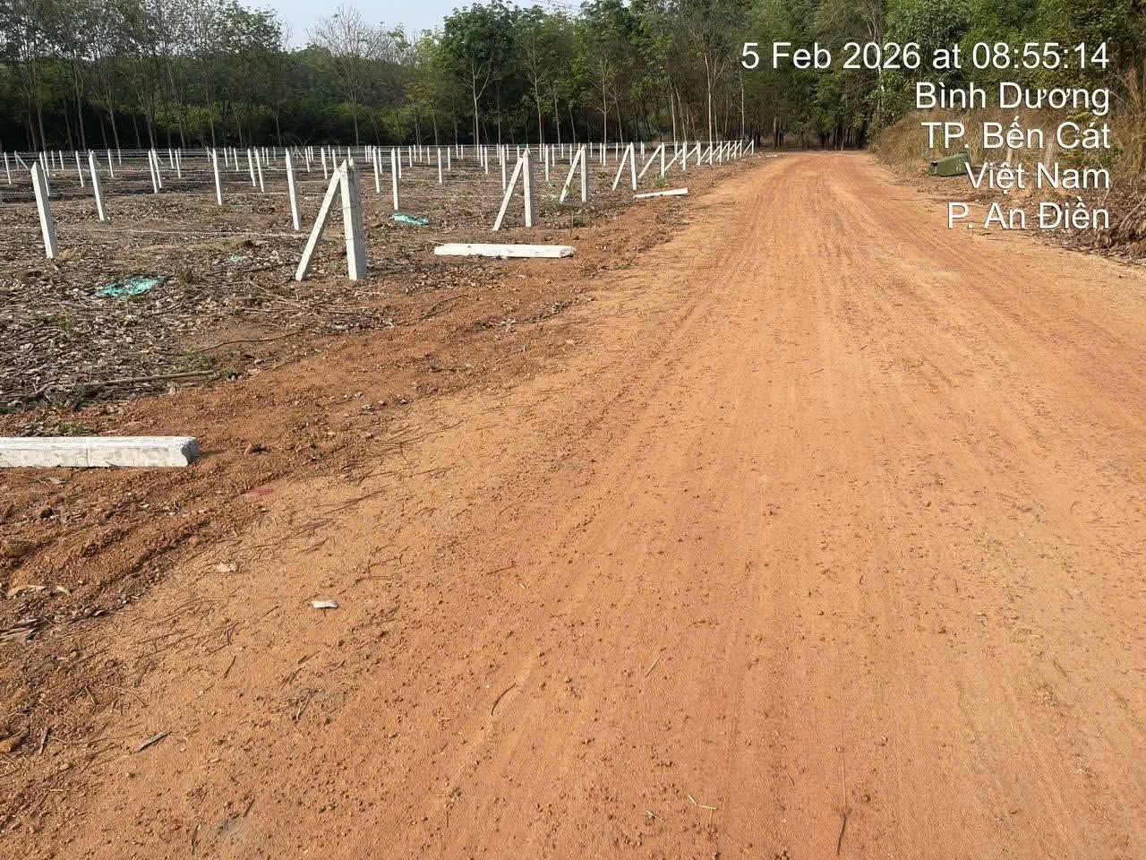 Bán đất An Điền, Bến Cát, Bình Dương cũ, đường 8m thông, cách ĐT748 chỉ 200m, giá F0 cho khách đầu tư