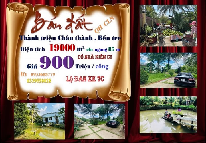 Cần bán gấp mảnh đất rộng 19.000m² tại Thành Triệu, Châu Thành, Bến Tre, giá 17,1 tỷ
