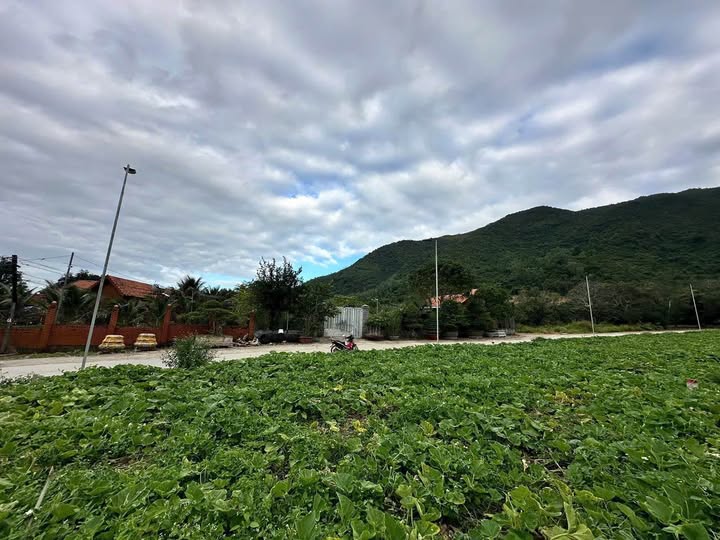 Bán đất Diên An, đường bê tông 8m, giá 810 triệu