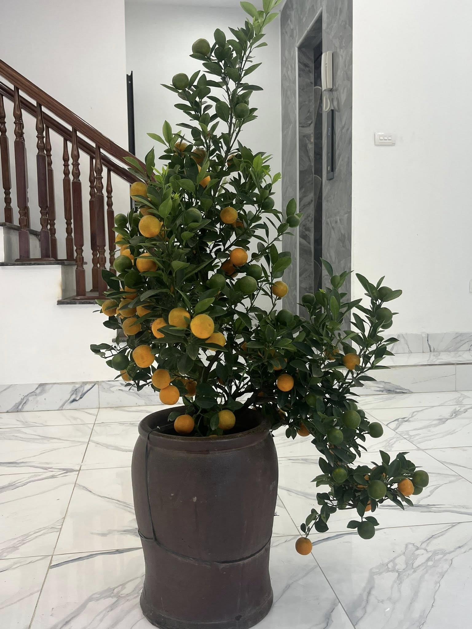 Bán nhà 40m2, 5 tầng thang máy, ngõ thoáng, gần Vinhomes Smart City, khu đô thị Xuân Phương, giá chỉ hơn 6 tỷ