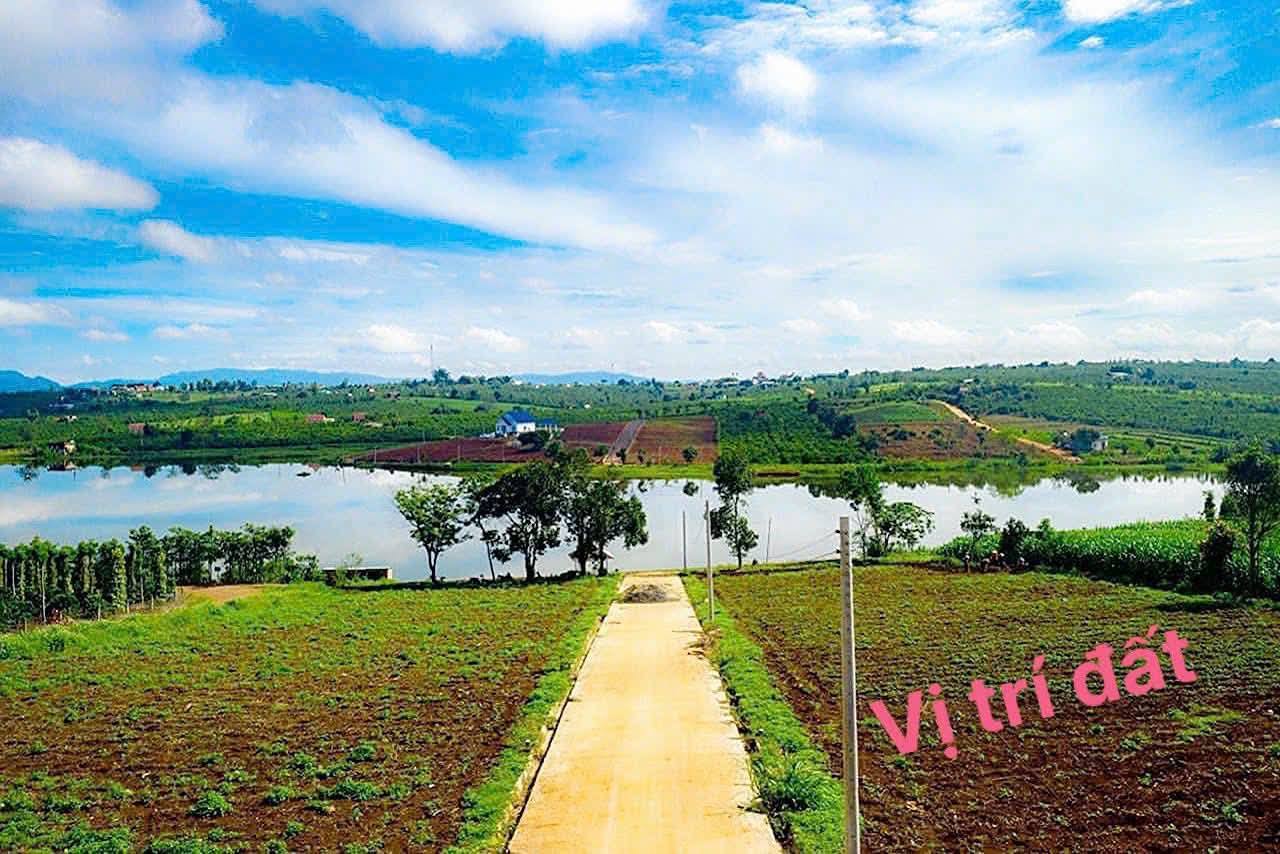 Bán đất nghỉ dưỡng, view hồ Phúc Hưng, 354m² tại Lâm Đồng, chỉ 780 triệu bao sổ