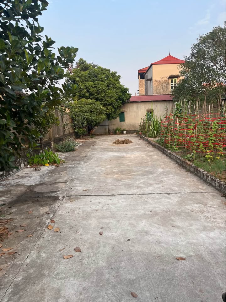 Bán đất đẹp Xuân Lâm, full thổ cư, ô tô đỗ cửa, giá 3.5 tỷ