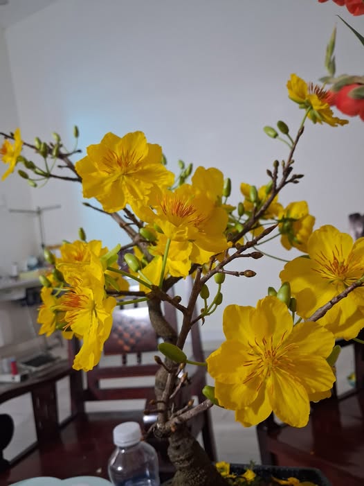 Bán nhà tôn 70m2 sổ riêng gần biển Cửa Lấp, Vũng Tàu, lộc đầu năm 668 triệu