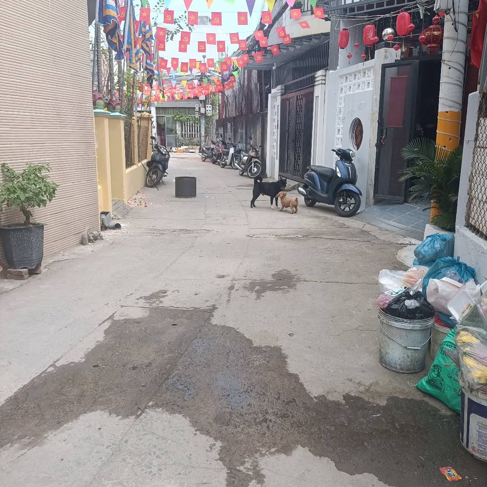 Cần bán lô đất giá dầu tư đường Nguyễn Như Đổ, phường Hòa Thọ Tây, Cẩm Lệ