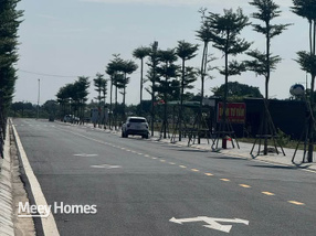 Bán đất Kim Bảng, Hà Nam, mặt đường 20,5m, trục đẹp, kinh doanh tốt