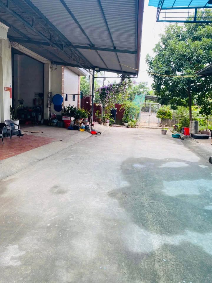 Bán kho bãi, nhà xưởng, khu công nghiệp huyện Phúc Thọ, thành phố Hà Nội giá 3 tỷ