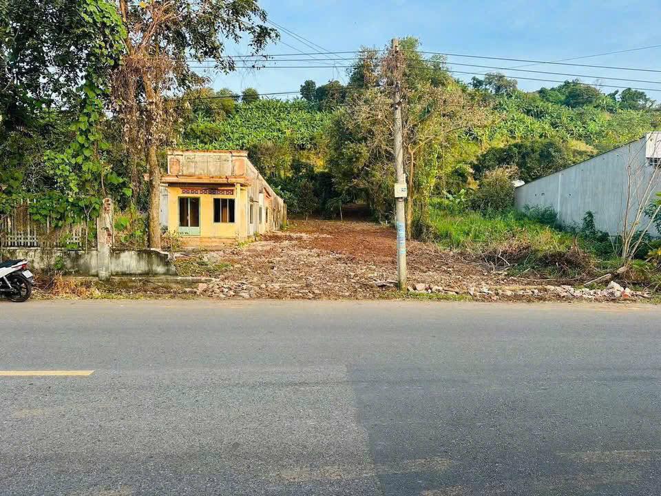 Bán kho bãi, nhà xưởng, khu công nghiệp huyện Long Điền, tỉnh Bà Rịa, Vũng Tàu giá 3,5 tỷ