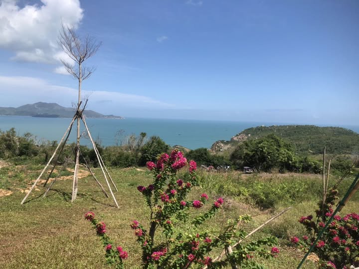 Biệt thự Bà Điều 395m2 kề góc, hướng Đông Nam, giá đầu tư cực hời