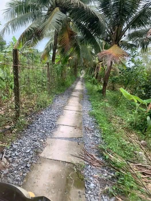 Bán đất huyện Mỏ Cày Bắc, tỉnh Bến Tre giá 270 triệu