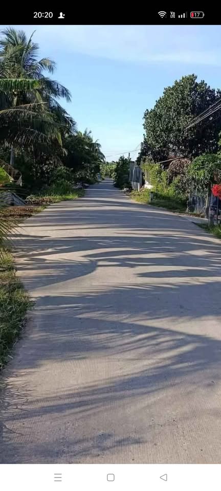 Bán đất huyện Ba Tri, tỉnh Bến Tre giá 250 triệu