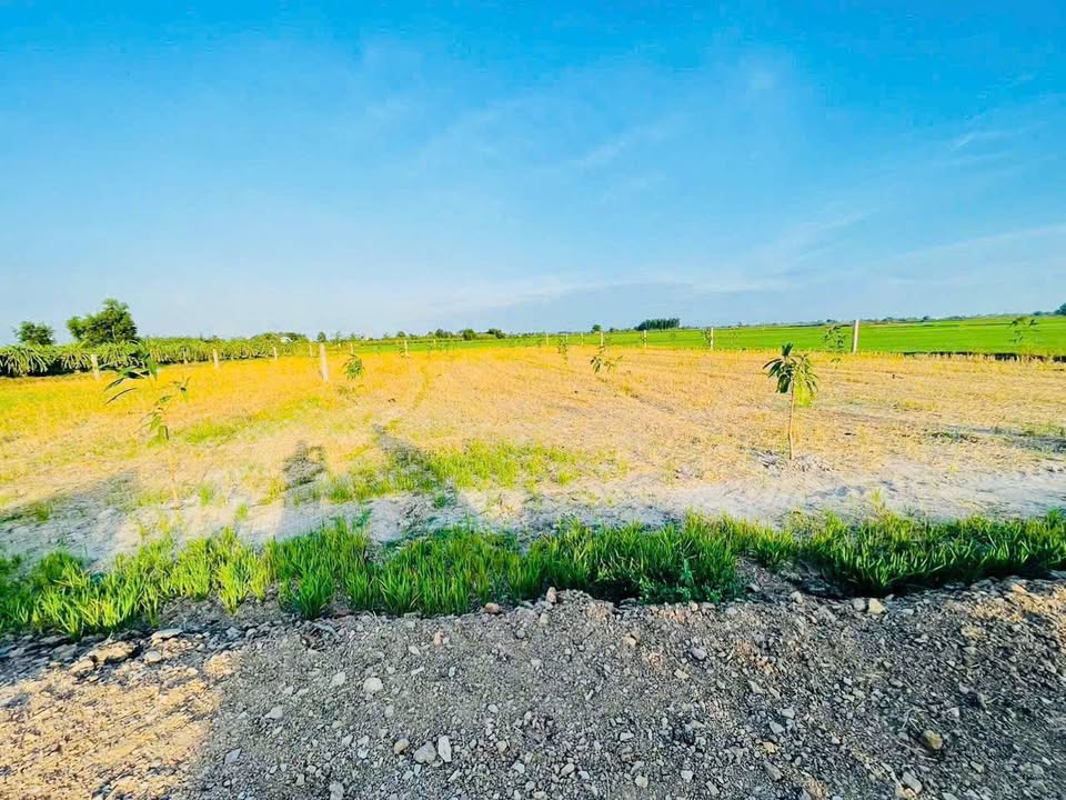 Bán đất huyện Long Điền, tỉnh Bà Rịa, Vũng Tàu, giá 390 triệu