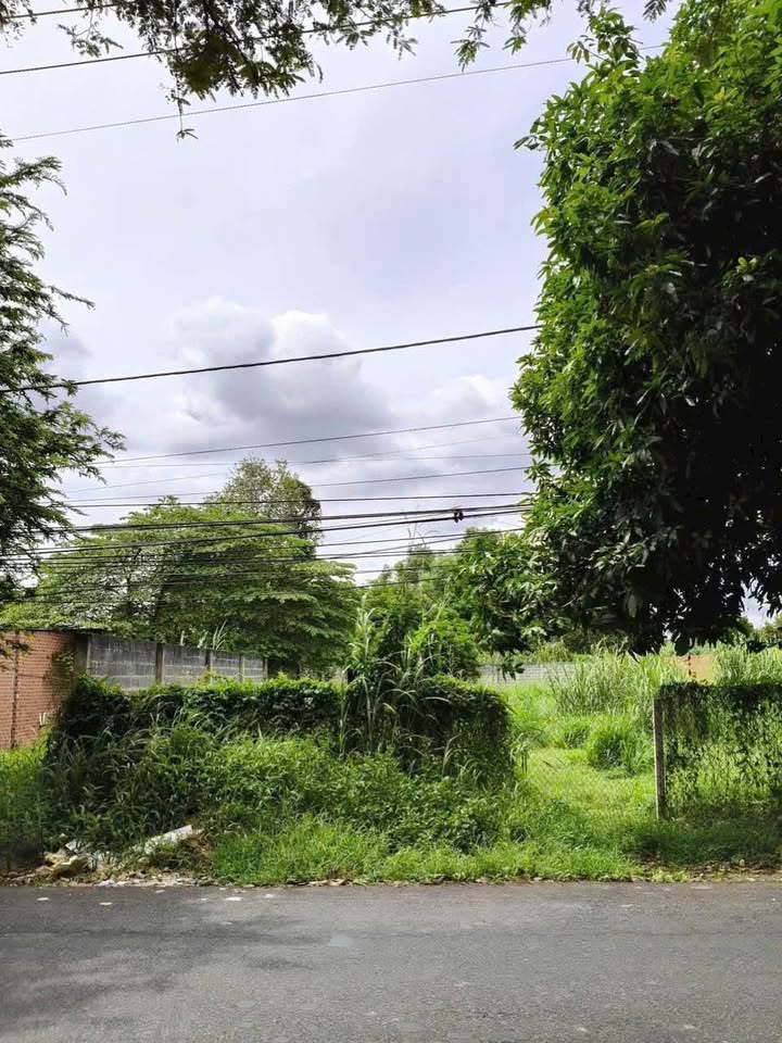 Bán đất thành phố Bà Rịa, tỉnh Bà Rịa, Vũng Tàu giá 3,5 tỷ