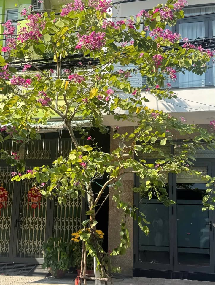 Bán nhà riêng quận Hải Châu, thành phố Đà Nẵng giá 5 tỷ