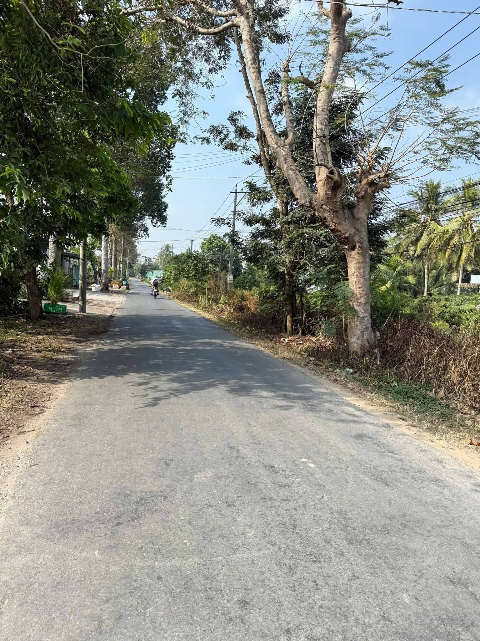 Bán đất thành phố Bến Tre, tỉnh Bến Tre giá 1,05 tỷ