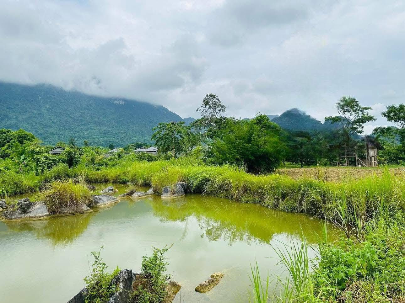 Bán nhà riêng huyện Vị Xuyên, tỉnh Hà Giang giá 699 triệu