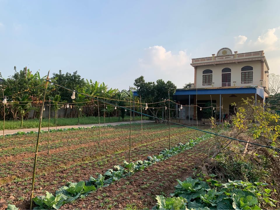 Bán đất huyện Mỹ Lộc, tỉnh Nam Định giá 8 tỷ