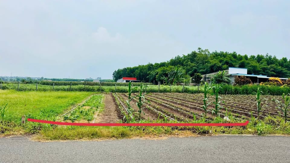 Bán đất huyện Đất Đỏ, tỉnh Bà Rịa, Vũng Tàu giá 980 triệu