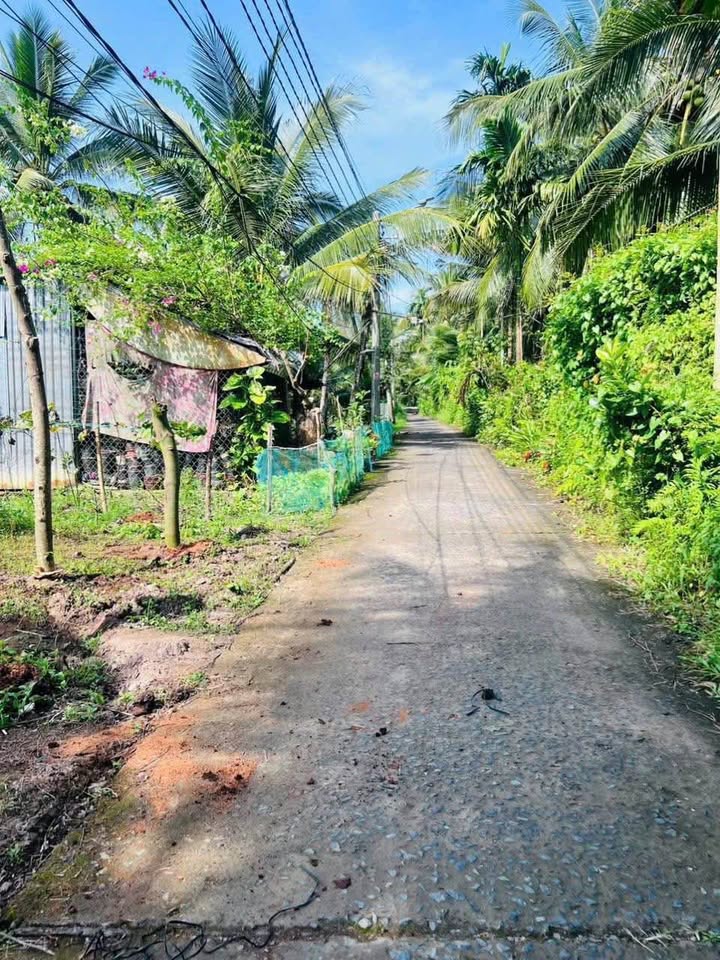 Bán đất thành phố Bến Tre, tỉnh Bến Tre giá 650 triệu