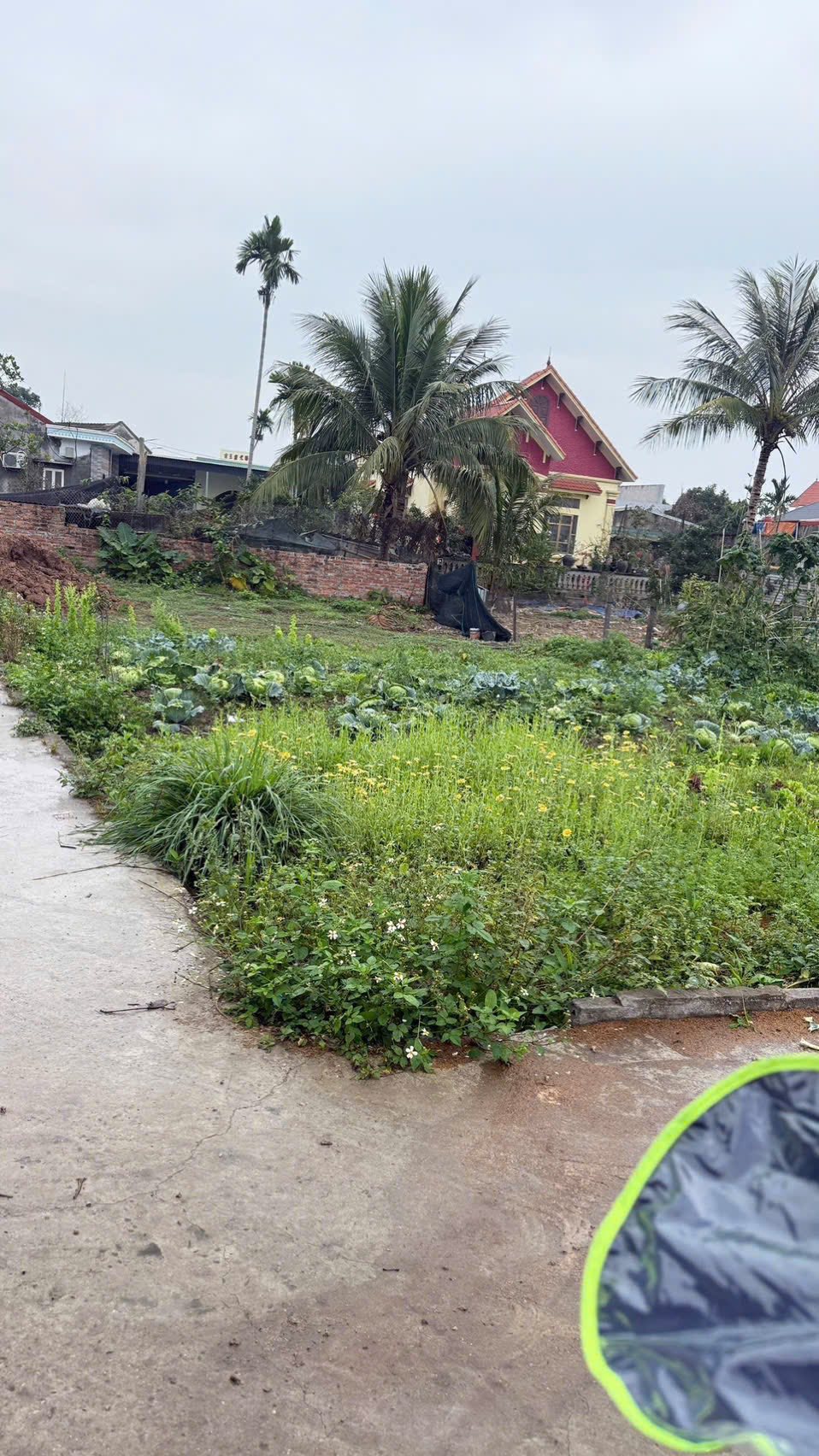 Bán đất huyện An Lão, thành phố Hải Phòng giá 720 triệu