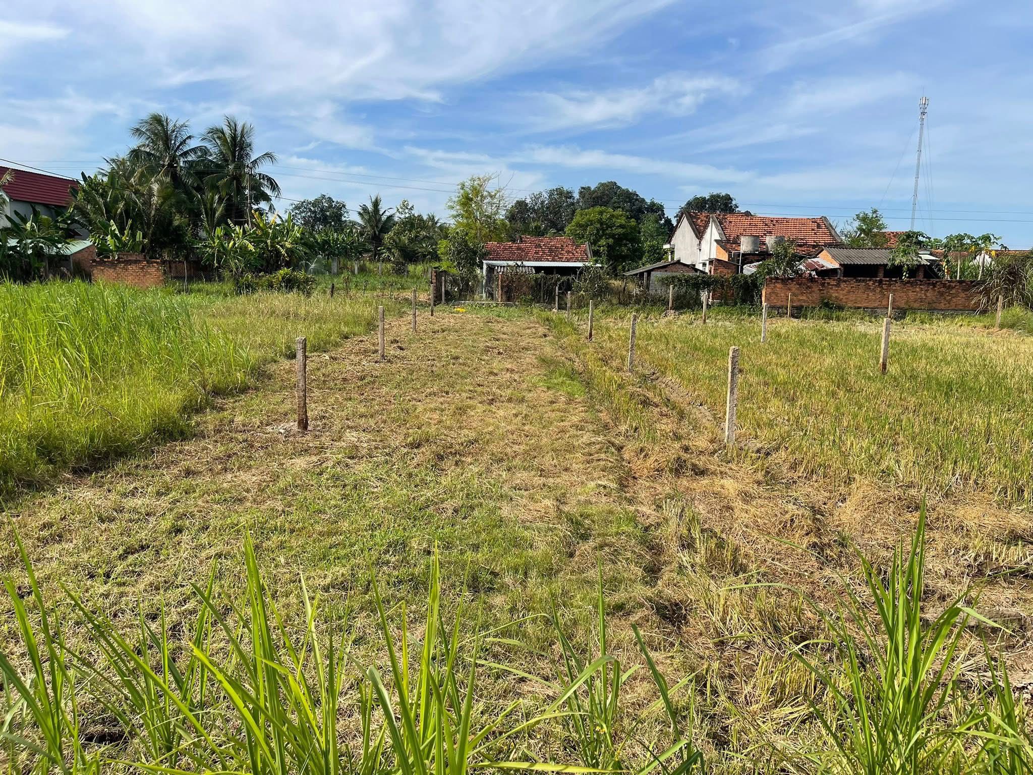 Bán đất huyện Sông Hinh, tỉnh Phú Yên giá 230 triệu