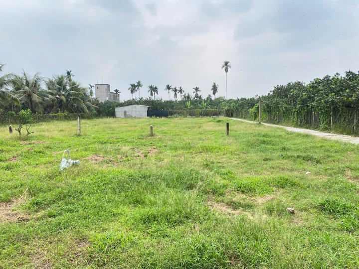 Bán đất thành phố Mỹ Tho, tỉnh Tiền Giang giá cả thương lượng