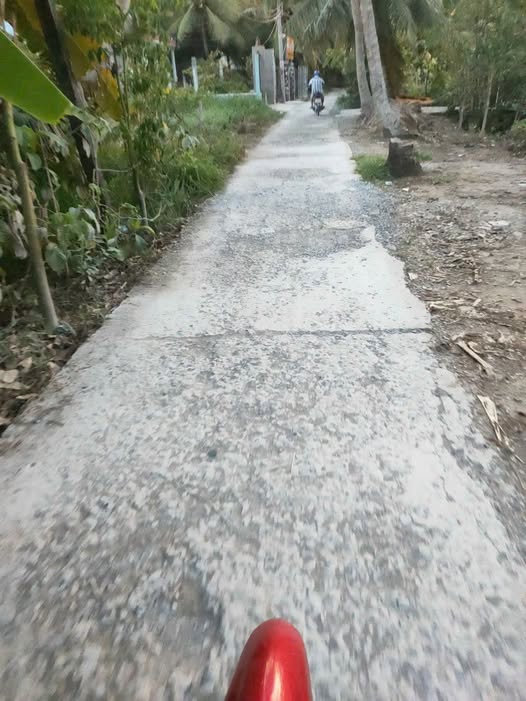 Bán đất Lương Hòa, Giồng Trôm, giá 600 triệu