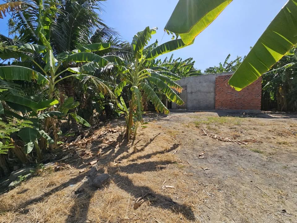 Bán lô đất full thổ cư phường Đô Vinh, đường ô tô, giá 390 triệu