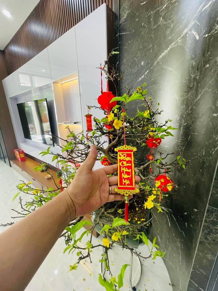 Bán nhà 3 tầng Hoà Quý. gần cầu Nguyễn Tri Phương, đối lưng Võ Chí Công, giá 8.6 tỷ