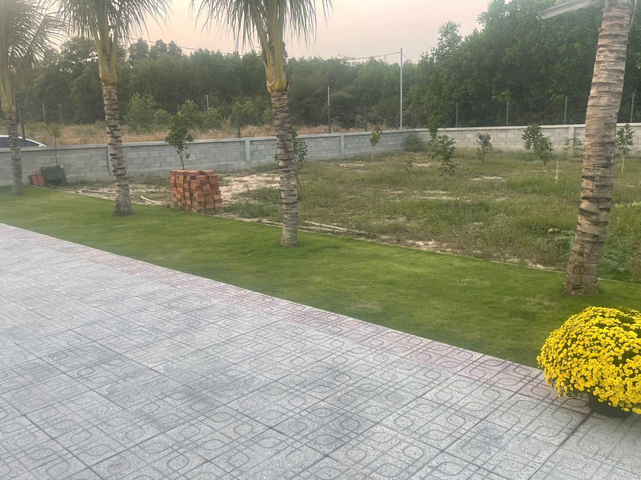 Chính chủ gửi bán căn nhà vườn xã Long Thọ, đường xe tải thông thoáng, khu vực dân cư, tiện ích đầy đủ